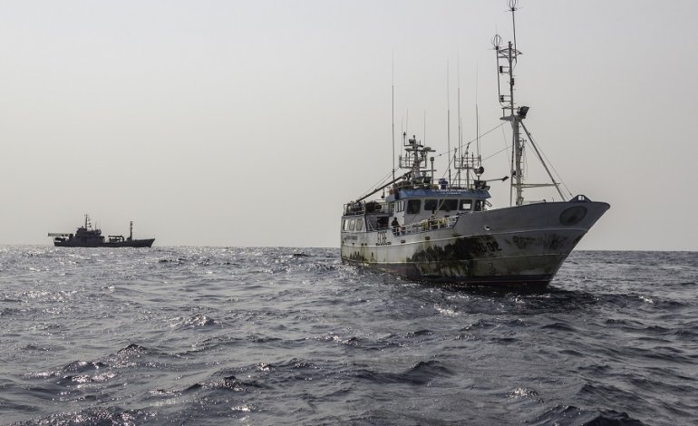 Orrore nel peschereccio spagnolo: trovate pinne di squalo azzurro