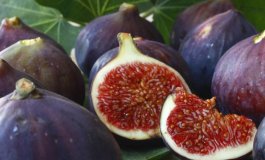 Il fico, usi e proprietà del frutto autunnale per eccellenza