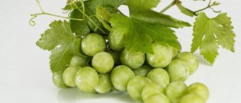 Fare il pieno di antiossidanti con l'uva