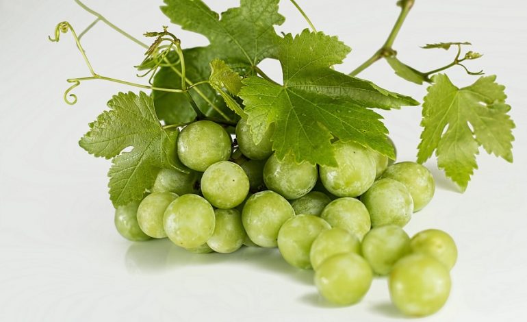 Fare il pieno di antiossidanti con l’uva
