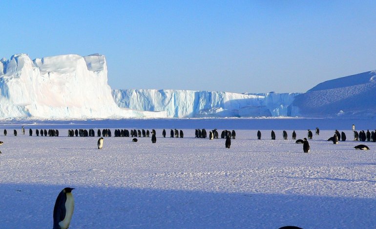 Vittoria per l’Antartide: qui sorgerà la più grande area marina protetta