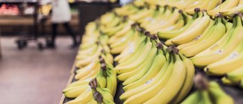 Il prezzo ambientale dell'industria delle banane​