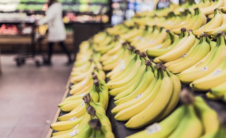 Il prezzo ambientale dell’industria delle banane​