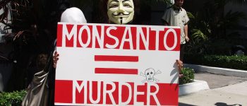 Bayer annuncia: no agli OGM in Europa