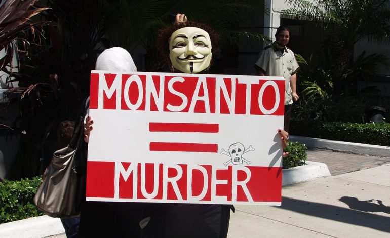 Bayer annuncia: no agli OGM in Europa