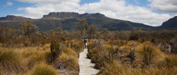 Overland Track, a piedi nel cuore della Tasmania