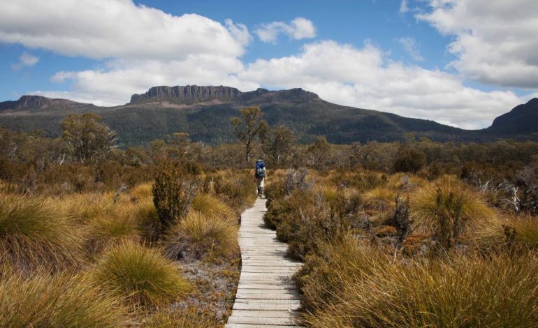Overland Track, a piedi nel cuore della Tasmania