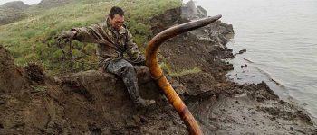 Zanne di mammut, è boom di avorio preistorico