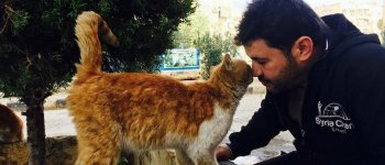 Mohammad, l'uomo che sotto le bombe aiuta i gatti di Aleppo
