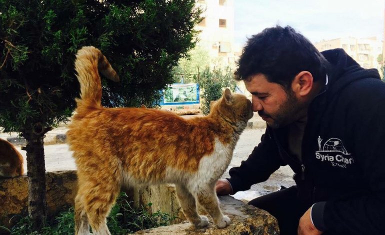 Mohammad, l’uomo che sotto le bombe aiuta i gatti di Aleppo