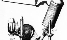 Robert Hooke: la nascita della cellula e il genio che contrastò Newton
