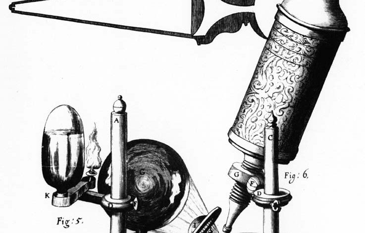 Robert Hooke: la nascita della cellula e il genio che contrastò Newton