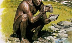 L'uomo utilizza la mano destra da ​1,8 milioni di anni