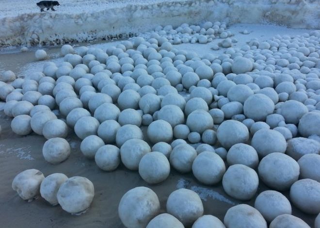 Lo strano fenomeno delle palle di neve giganti​