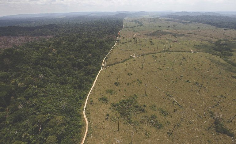 Risultati immagini per deforestazione amazzonia