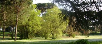 Villa Ada: l'importanza dei polmoni verdi nelle città