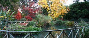 Orto botanico di Roma: bellezza e conservazione