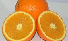 Arance e clementine: spicchi di natura