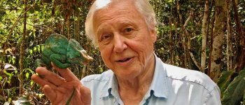David Attenborough e la natura in televisione