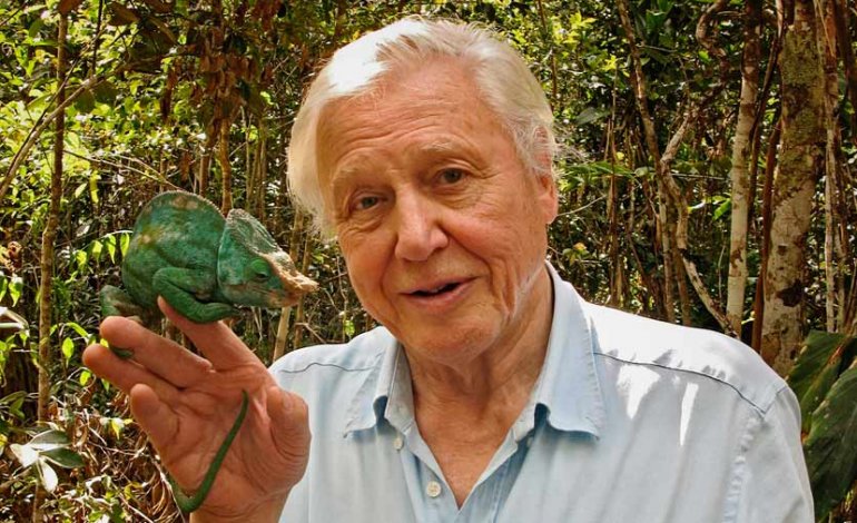 David Attenborough e la natura in televisione