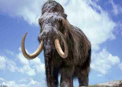 L’esame del Dna spiega l’estinzione dei mammut lanosi