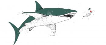 La dieta del Megalodonte, il gigante squalo preistorico