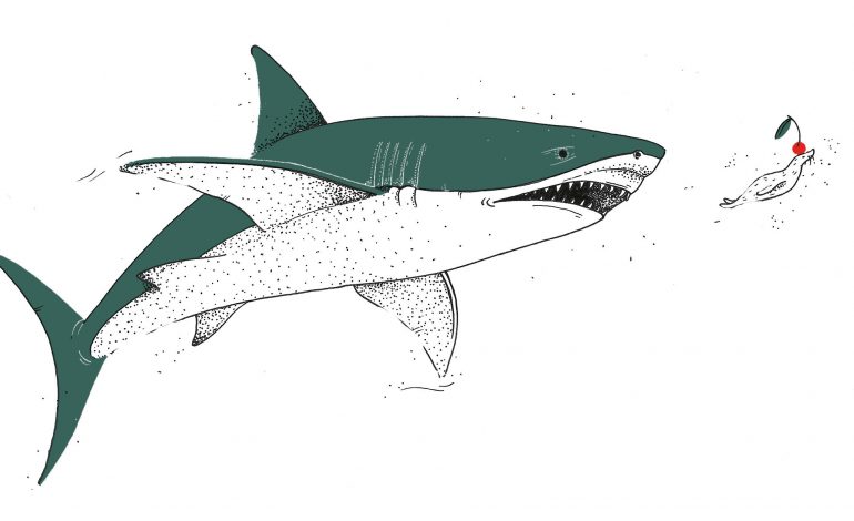 La dieta del Megalodonte, il gigante squalo preistorico