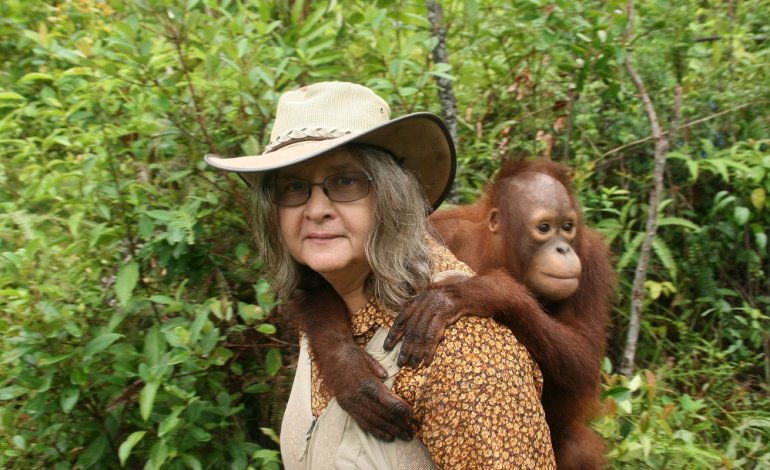 Birutė Galdikas, una vita per gli oranghi