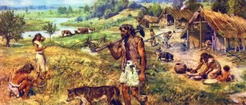 Taglia media e muso appuntito: ecco come era il cane del Neolitico ​