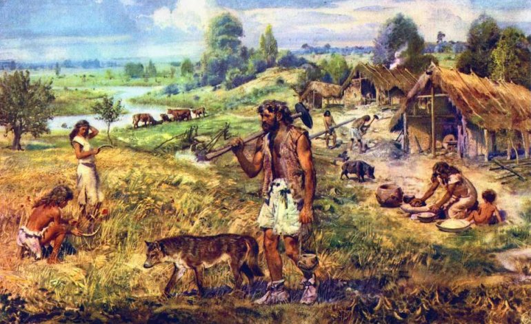 Taglia media e muso appuntito: ecco come era il cane del Neolitico ​