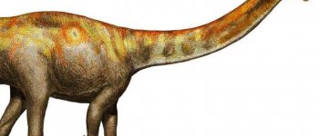 Dinosauri: alla scoperta di Max, il gigante buono