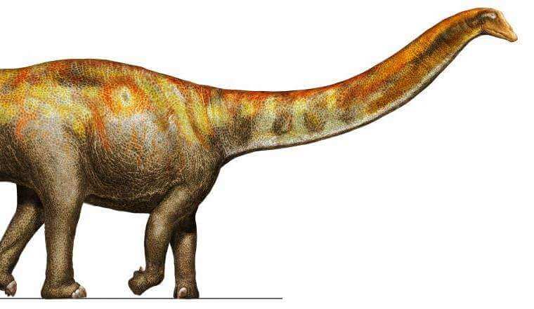 Dinosauri: alla scoperta di Max, il gigante buono