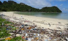 L'isola di Henderson è il luogo più inquinato del Pianeta