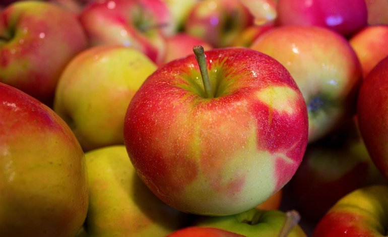 Brutte ma sane: le mele antiche migliori delle varietà commerciali