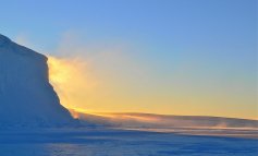 La biodiversità dell'Antartide minacciata da una gestione ambientale insufficiente