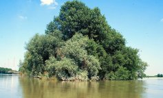 CamminaForeste Lombardia2017: un mese dedicato alla Natura