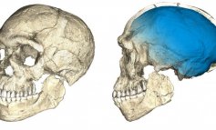 L'origine più antica dell'Homo sapiens: trovati resti di 300mila anni fa