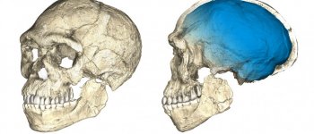 L'origine più antica dell'Homo sapiens: trovati resti di 300mila anni fa