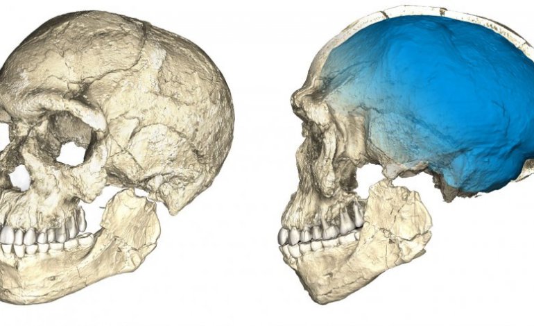 L’origine più antica dell’Homo sapiens: trovati resti di 300mila anni fa