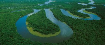 ​Come le dighe stanno facendo morire l' Amazzonia