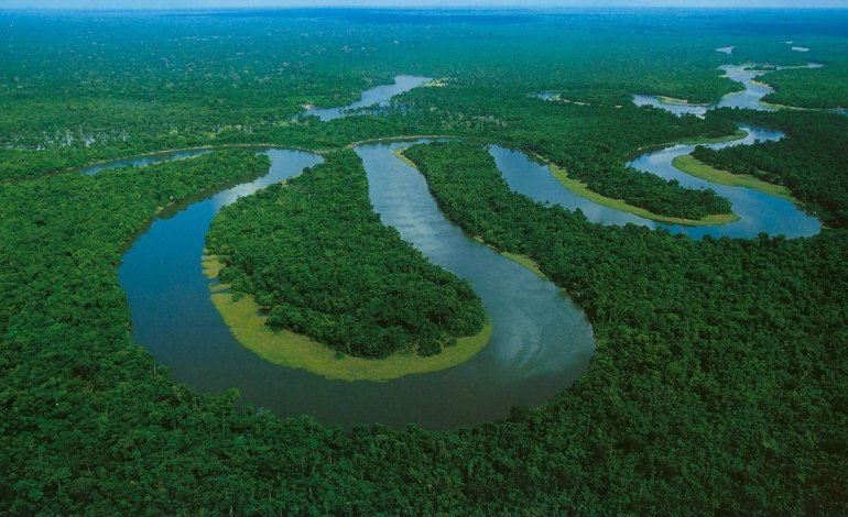 ​Come le dighe stanno facendo morire l’ Amazzonia