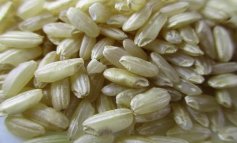 Il riso ha 9.400 anni e viene dalla Cina