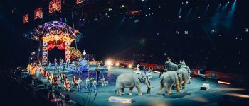 Animali e circo, la posizione dell'Ente Nazionale Circhi