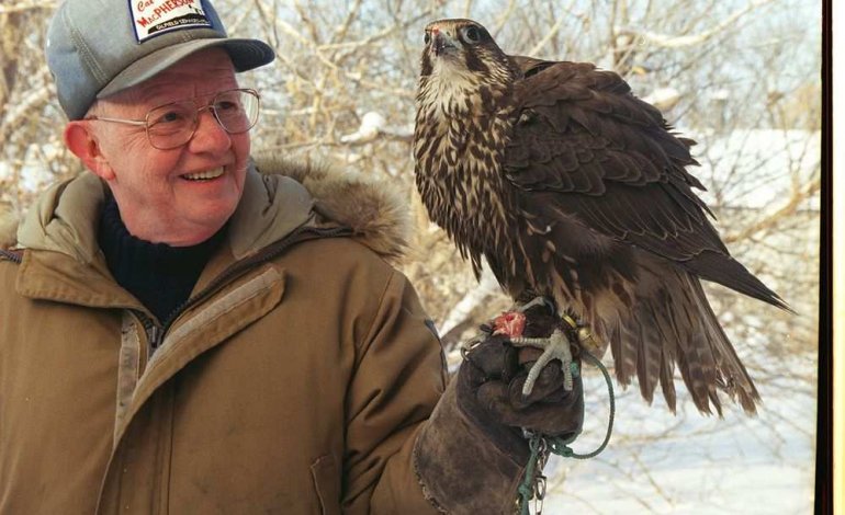 Addio a Richard Fyfe, il padre del falco pellegrino