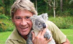 Steve Irwin, il Crocodile hunter