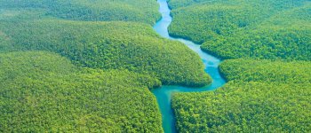 L'Amazzonia apre alle miniere: cancellata la grande riserva