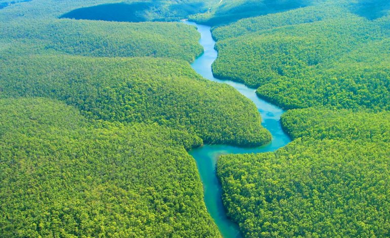 L’Amazzonia apre alle miniere: cancellata la grande riserva