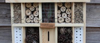 Come costruire un hotel per gli insetti