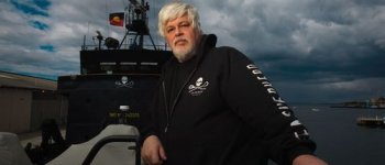 Sea Shepherd si arrende al Giappone: stop alla lotta contro la caccia alle balene
