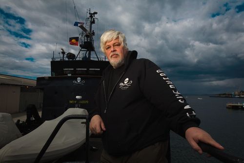 Sea Shepherd si arrende al Giappone: stop alla lotta contro la caccia alle balene